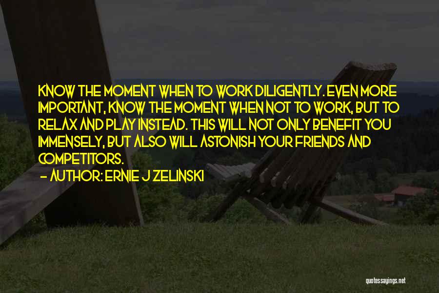 Immensely Quotes By Ernie J Zelinski