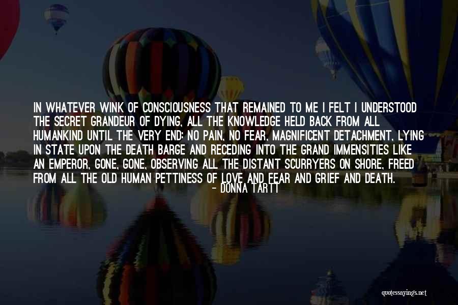 Immensities Quotes By Donna Tartt Immensities Quotes By Donna Tartt