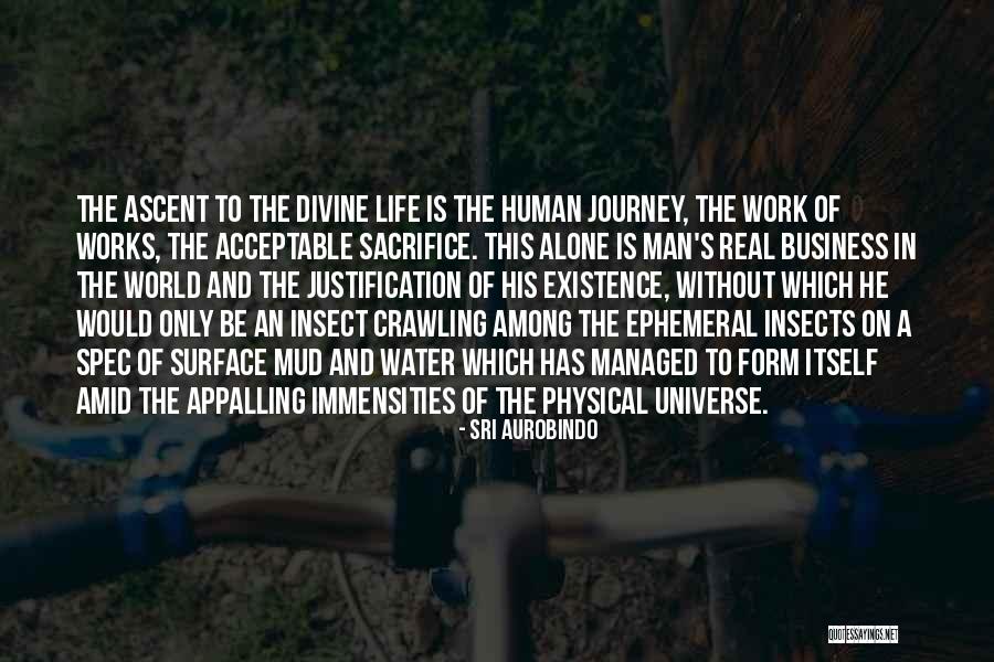Immensities Quotes By Sri Aurobindo Immensities Quotes By Sri Aurobindo