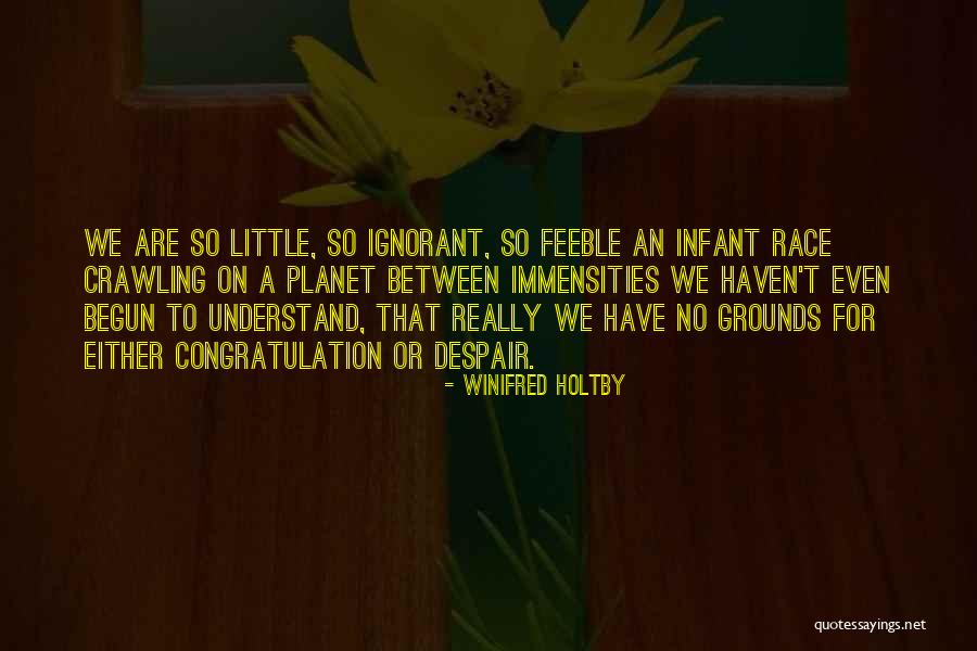 Immensities Quotes By Winifred Holtby Immensities Quotes By Winifred Holtby