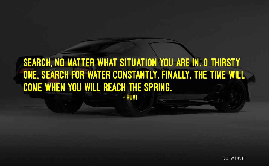Immersa Pro Quotes By Rumi Immersa Pro Quotes By Rumi