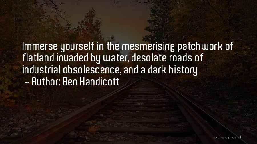 Immerse Quotes By Ben Handicott