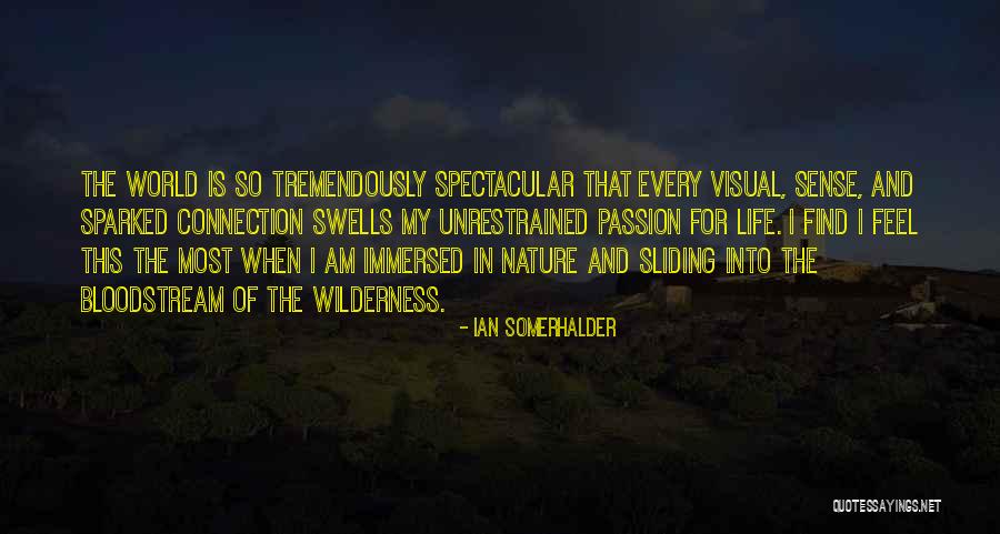 Immersed In Nature Quotes By Ian Somerhalder Immersed In Nature Quotes By Ian Somerhalder