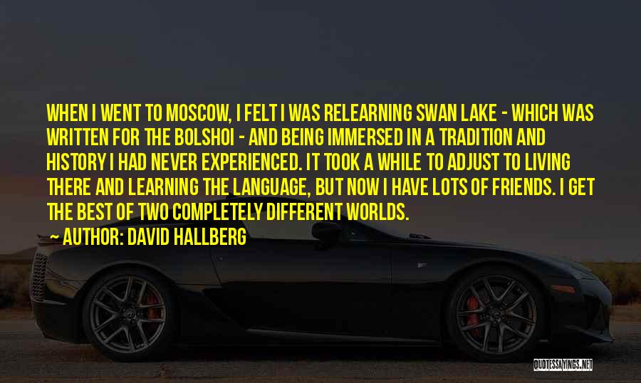 Immersed Quotes By David Hallberg