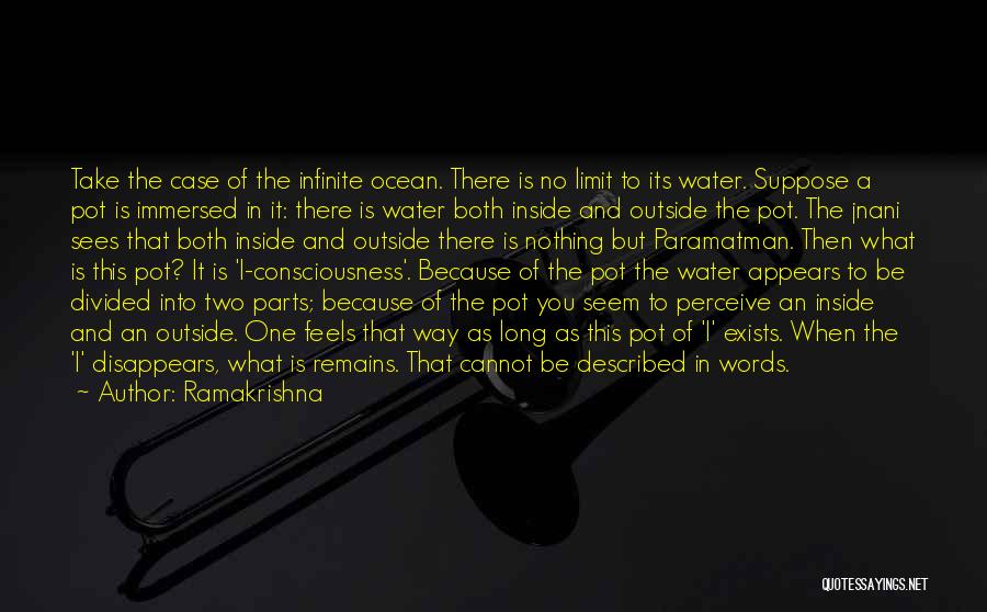 Immersed Quotes By Ramakrishna