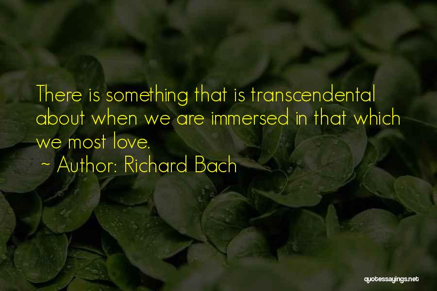 Immersed Quotes By Richard Bach
