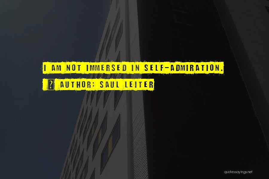 Immersed Quotes By Saul Leiter