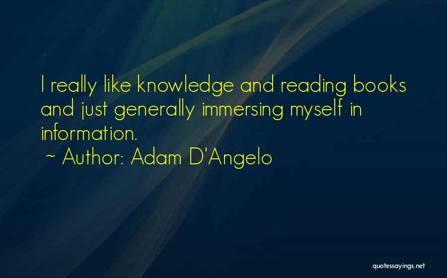 Immersing Yourself Quotes By Adam D'Angelo