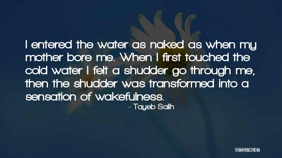 Immersion In Water Quotes By Tayeb Salih Immersion In Water Quotes By Tayeb Salih