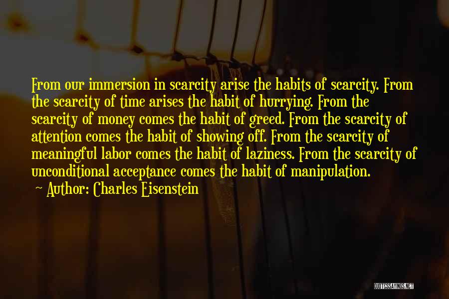 Immersion Quotes By Charles Eisenstein