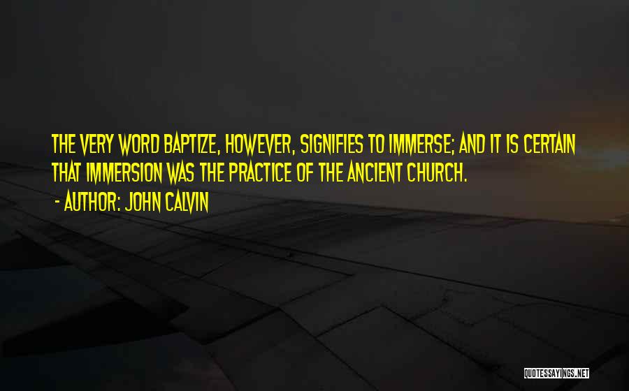 Immersion Quotes By John Calvin