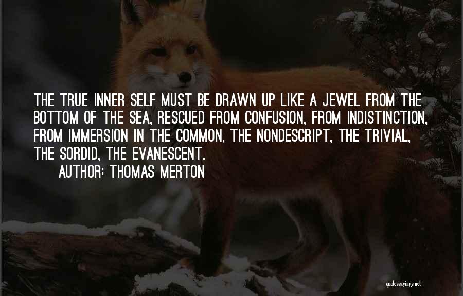 Immersion Quotes By Thomas Merton