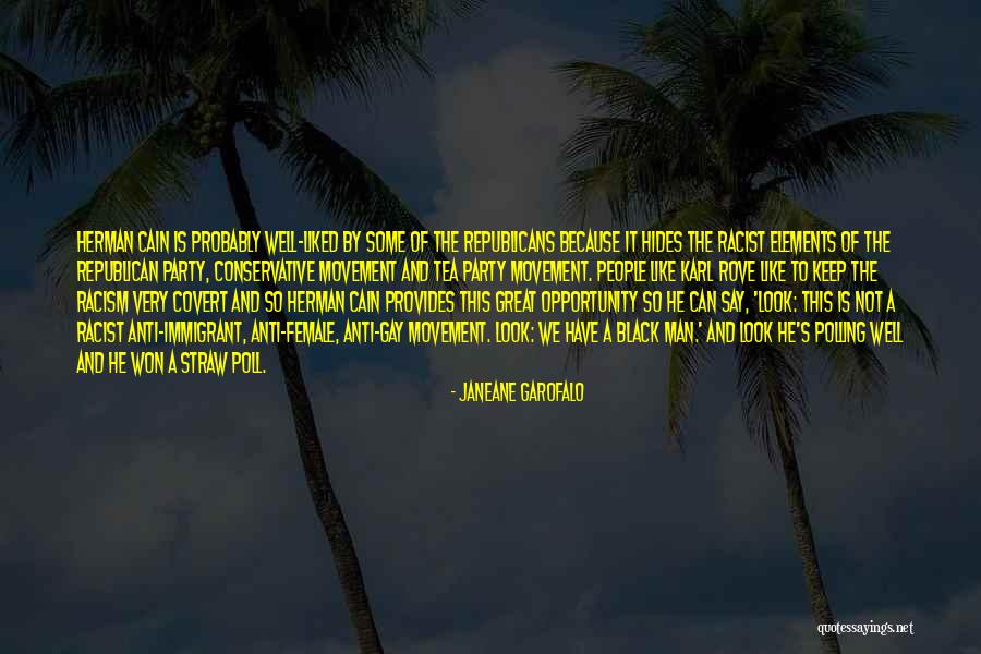 Immigrant Quotes By Janeane Garofalo Immigrant Quotes By Janeane Garofalo