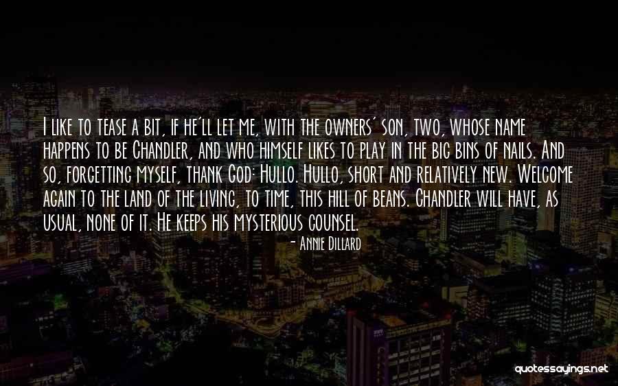 Immigrate Quotes By Annie Dillard Immigrate Quotes By Annie Dillard