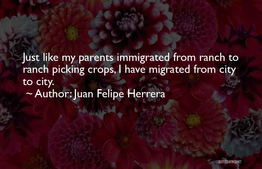 Immigrated From Quotes By Juan Felipe Herrera