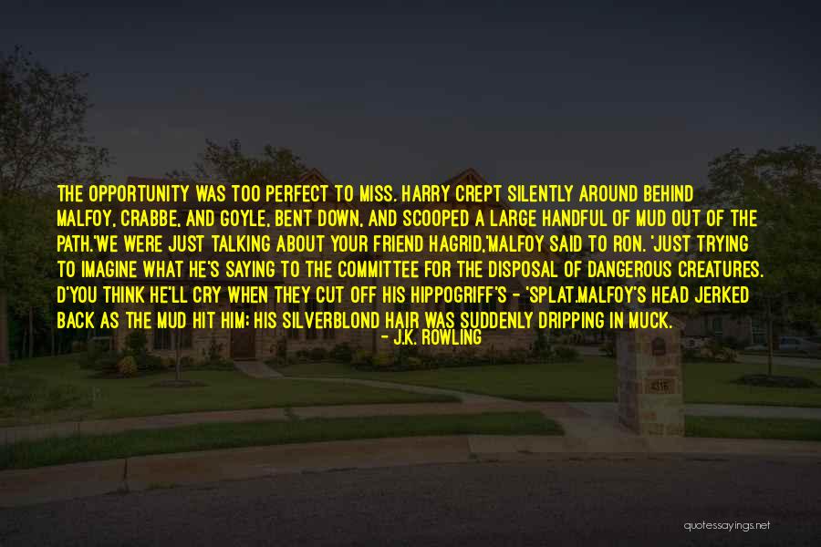 Immigrating To The Us Quotes By J.K. Rowling Immigrating To The Us Quotes By J.K. Rowling
