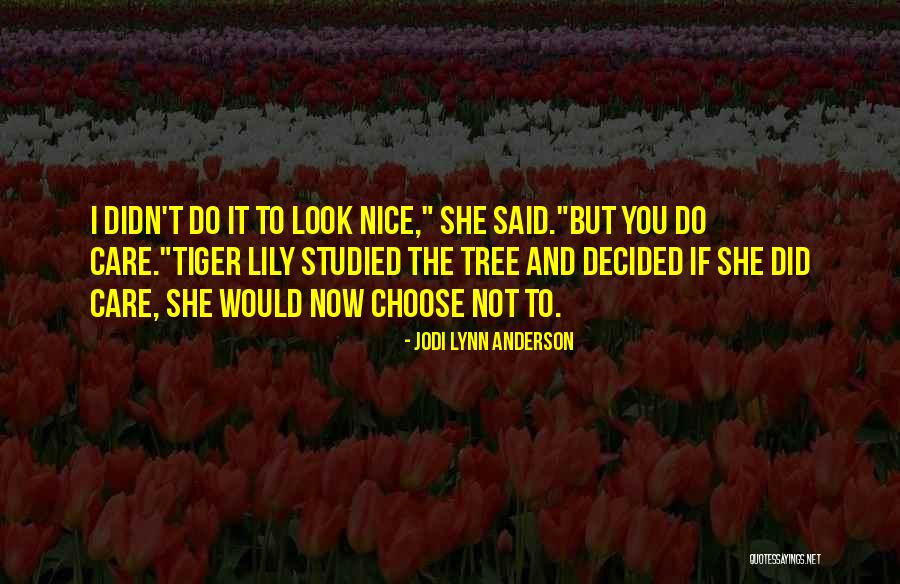 Immigration In The 1900s Quotes By Jodi Lynn Anderson Immigration In The 1900s Quotes By Jodi Lynn Anderson