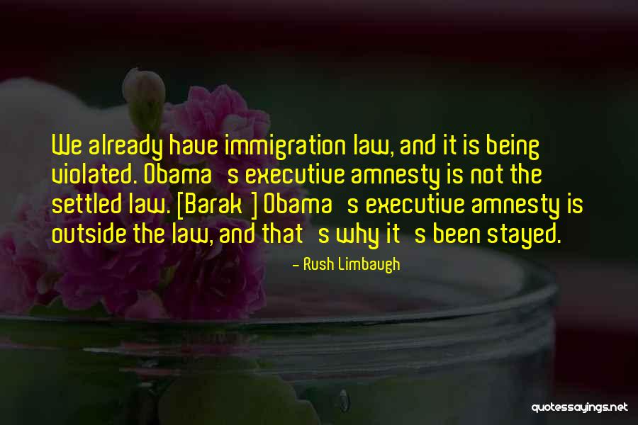 Immigration Obama Quotes By Rush Limbaugh