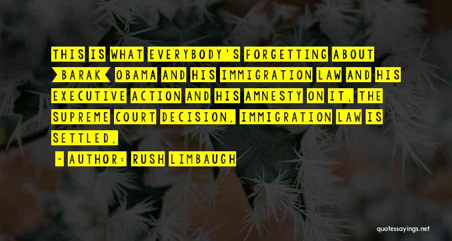 Immigration Obama Quotes By Rush Limbaugh