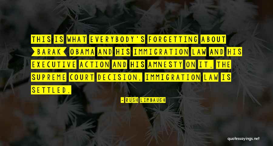 Immigration Obama Quotes By Rush Limbaugh