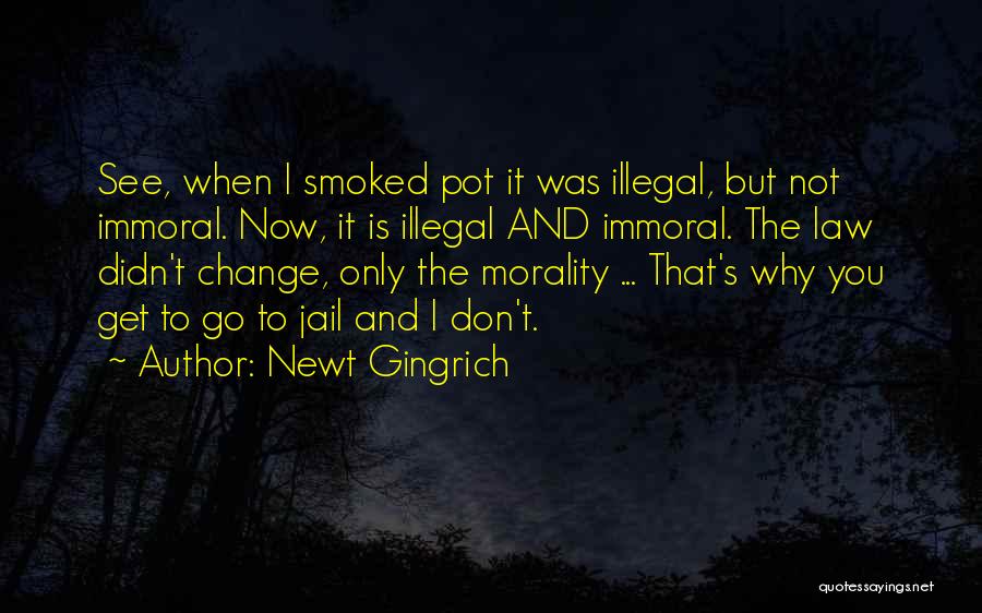 Immoral Law Quotes By Newt Gingrich