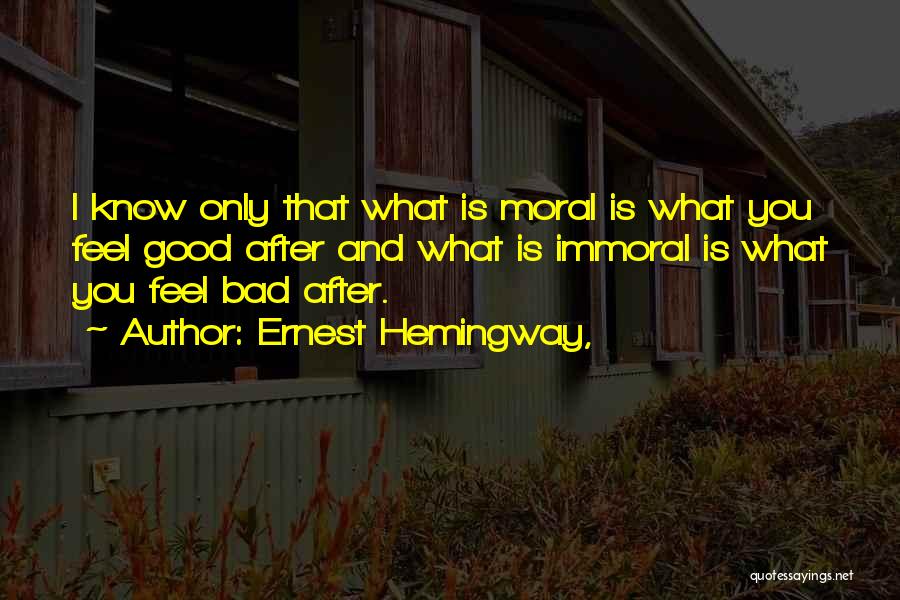 Immoral Quotes By Ernest Hemingway,