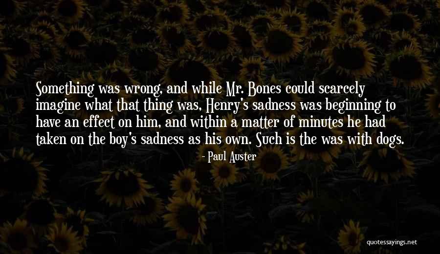 Immunoglobulins A G M Quotes By Paul Auster Immunoglobulins A G M Quotes By Paul Auster