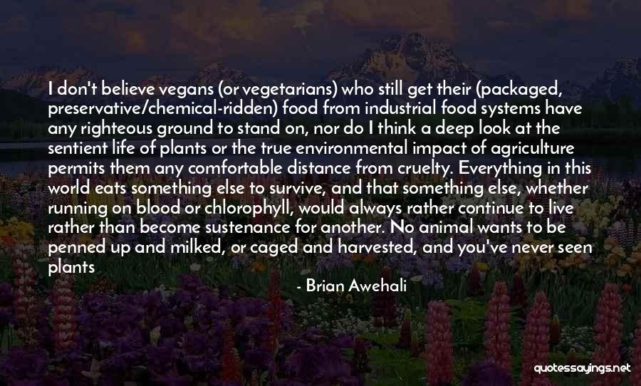 Impact On The World Quotes By Brian Awehali Impact On The World Quotes By Brian Awehali