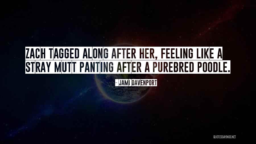 Imparando Italiano Quotes By Jami Davenport Imparando Italiano Quotes By Jami Davenport