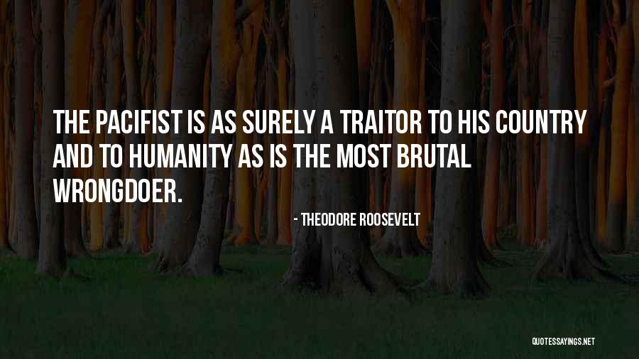 Impartire Polinoame Quotes By Theodore Roosevelt Impartire Polinoame Quotes By Theodore Roosevelt