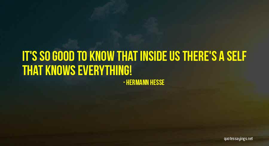 Impedancia Quotes By Hermann Hesse Impedancia Quotes By Hermann Hesse