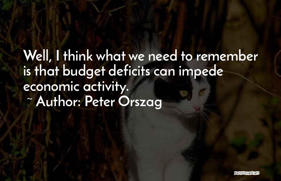 Impede Quotes By Peter Orszag