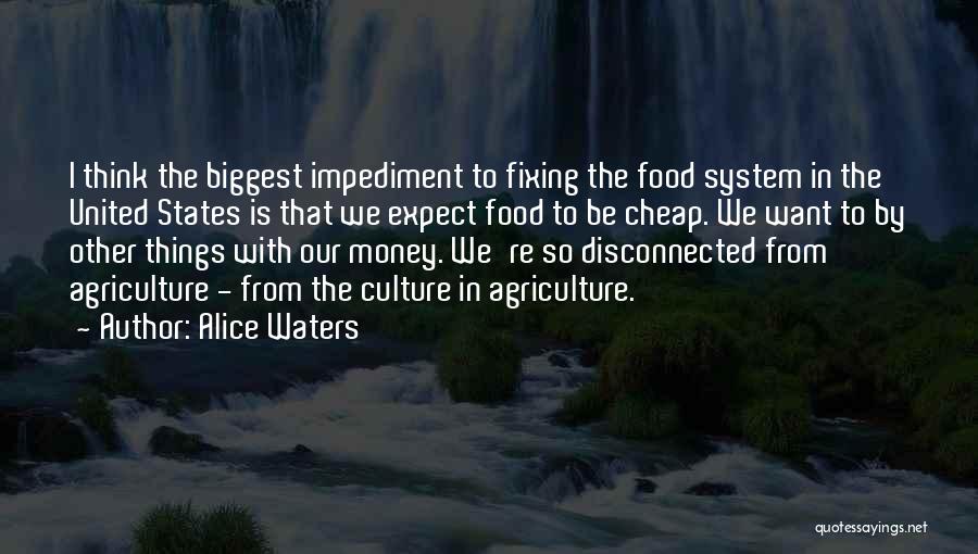 Impediment Quotes By Alice Waters