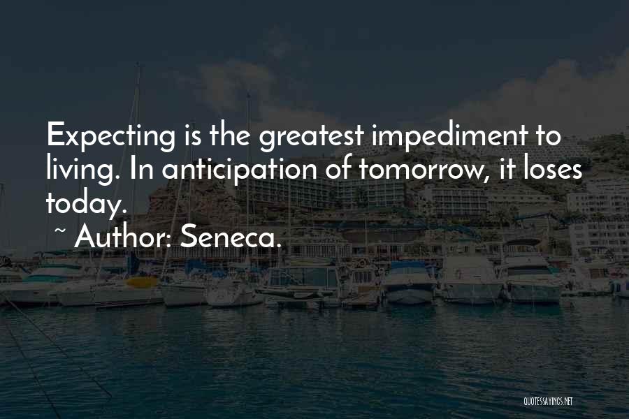 Impediment Quotes By Seneca.