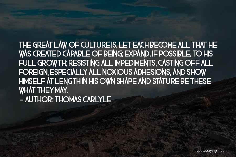 Impediments Quotes By Thomas Carlyle