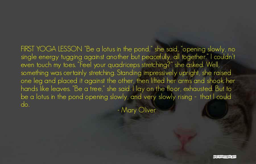 Impegnafc Quotes By Mary Oliver Impegnafc Quotes By Mary Oliver