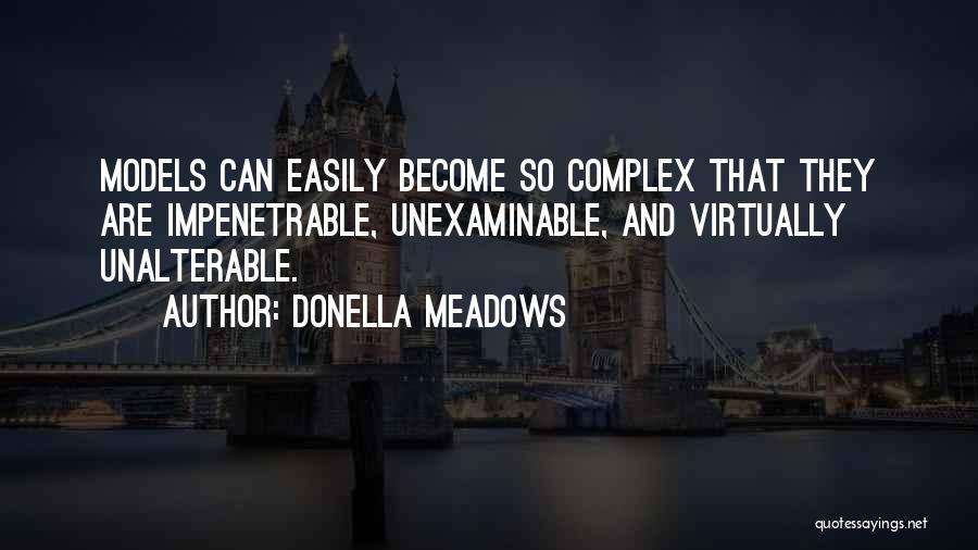 Impenetrable Quotes By Donella Meadows