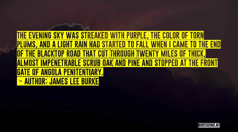 Impenetrable Quotes By James Lee Burke