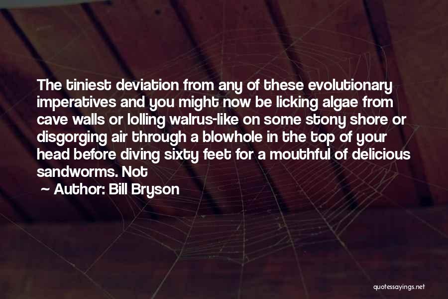 Imperatives Quotes By Bill Bryson