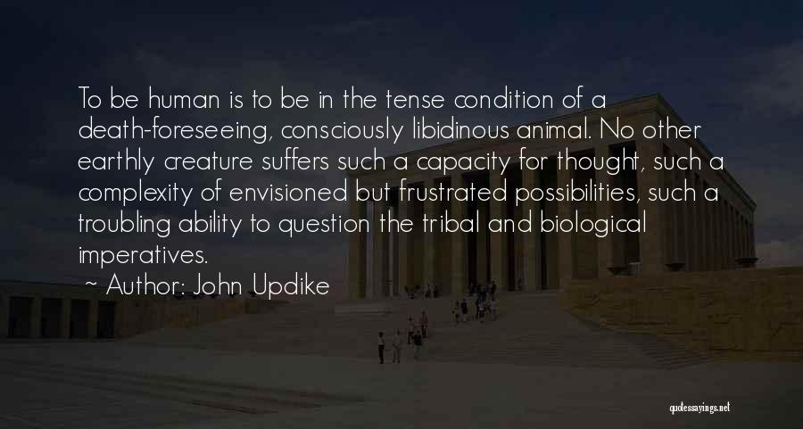 Imperatives Quotes By John Updike