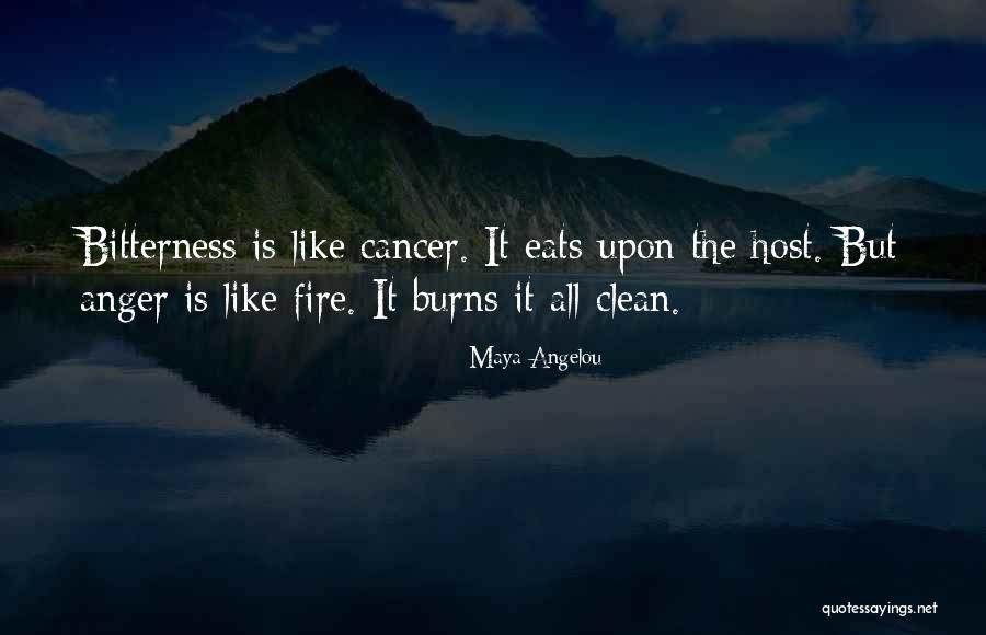 Imperfeccion Quotes By Maya Angelou Imperfeccion Quotes By Maya Angelou
