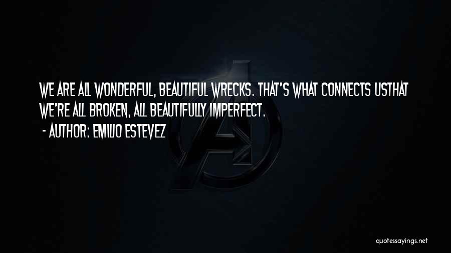 Imperfect Life Quotes By Emilio Estevez