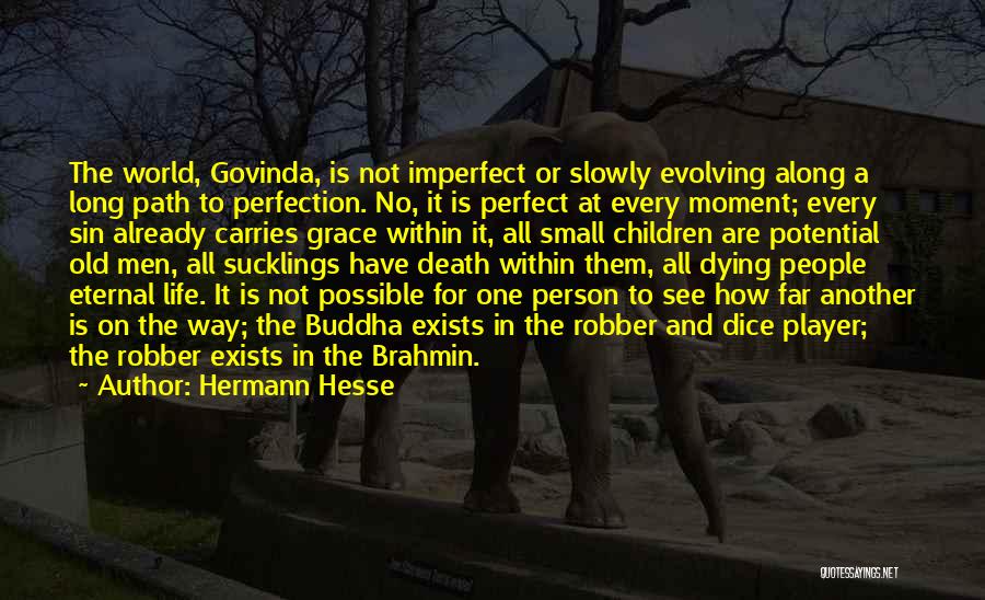 Imperfect Person Quotes By Hermann Hesse