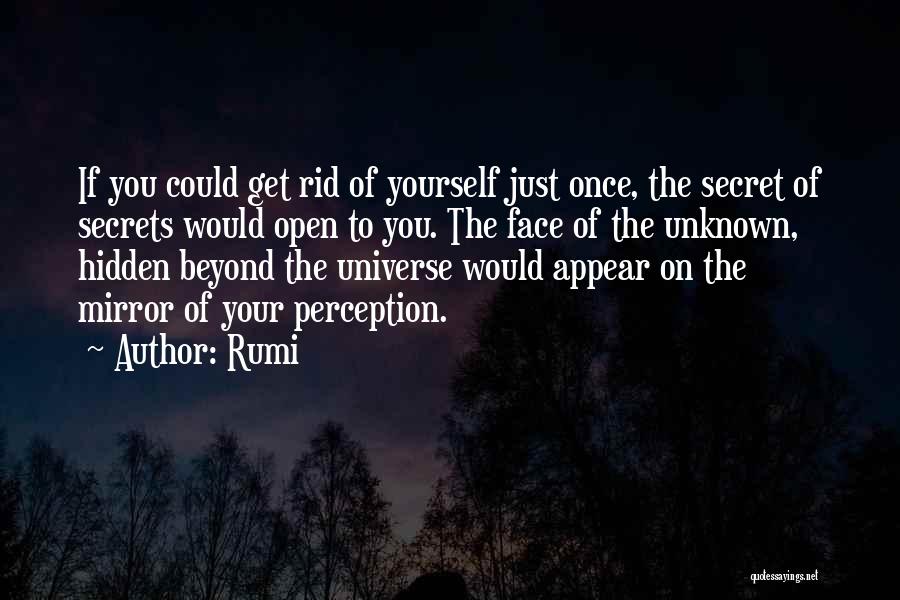 Imperfecta Quotes By Rumi