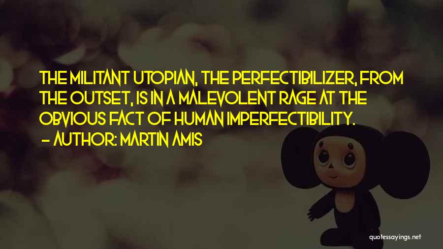 Imperfectibility Quotes By Martin Amis