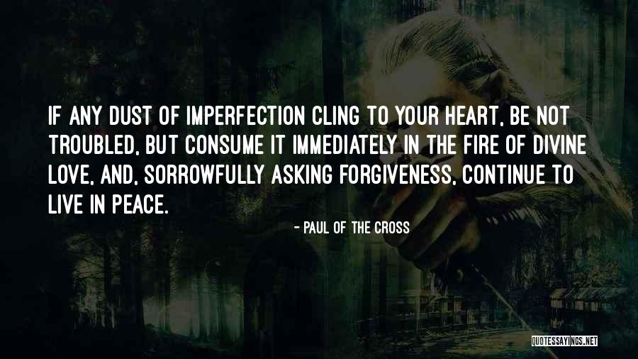 Imperfection And Love Quotes By Paul Of The Cross