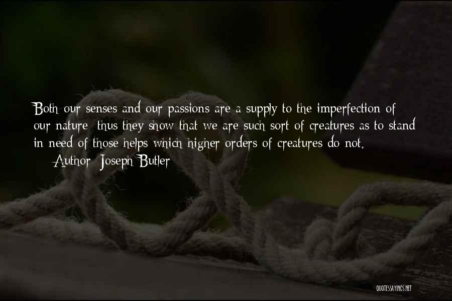 Imperfection In Nature Quotes By Joseph Butler