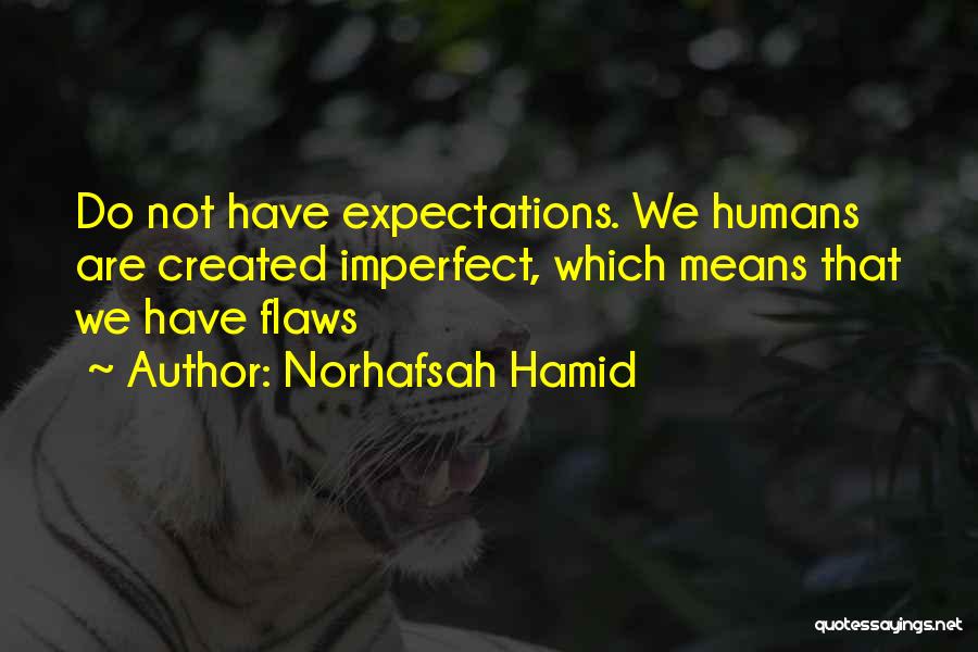 Imperfections And Flaws Quotes By Norhafsah Hamid