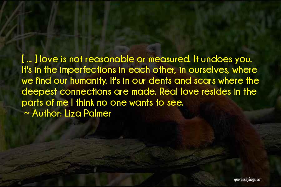 Imperfections And Love Quotes By Liza Palmer