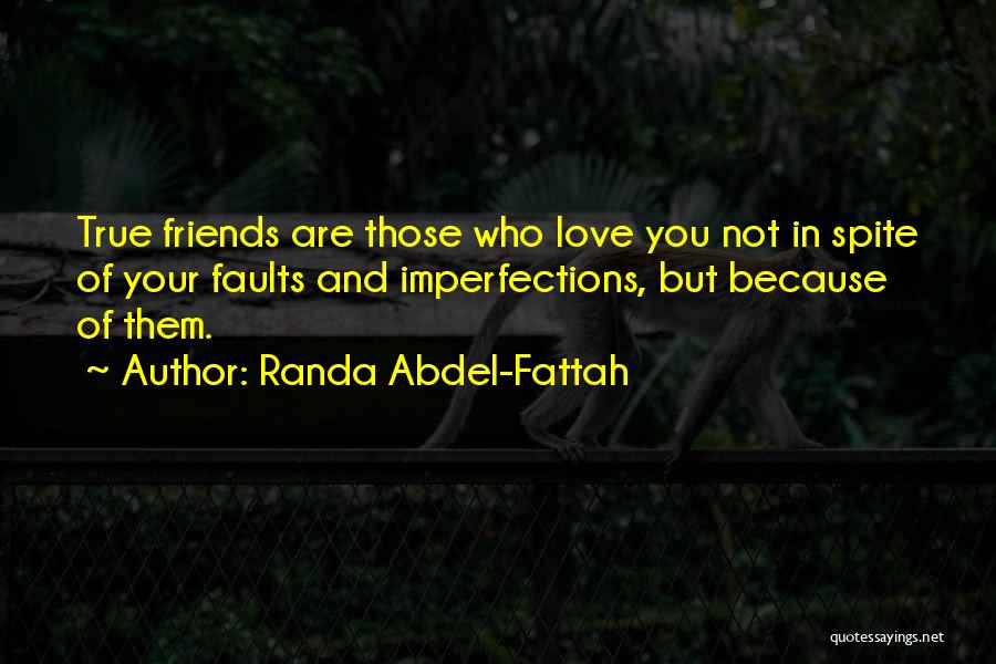 Imperfections And Love Quotes By Randa Abdel-Fattah